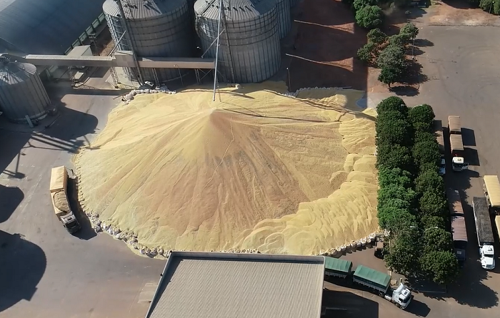 Fartura sem estrutura: Diamantino expõe crise de armazenagem no agro